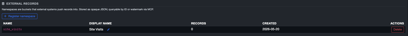 External Records section in Global Project Configuration. The namespaces table lists each registered namespace with its name in code style, an optional display name, the current record count, the date created, and a Delete action on the right.
